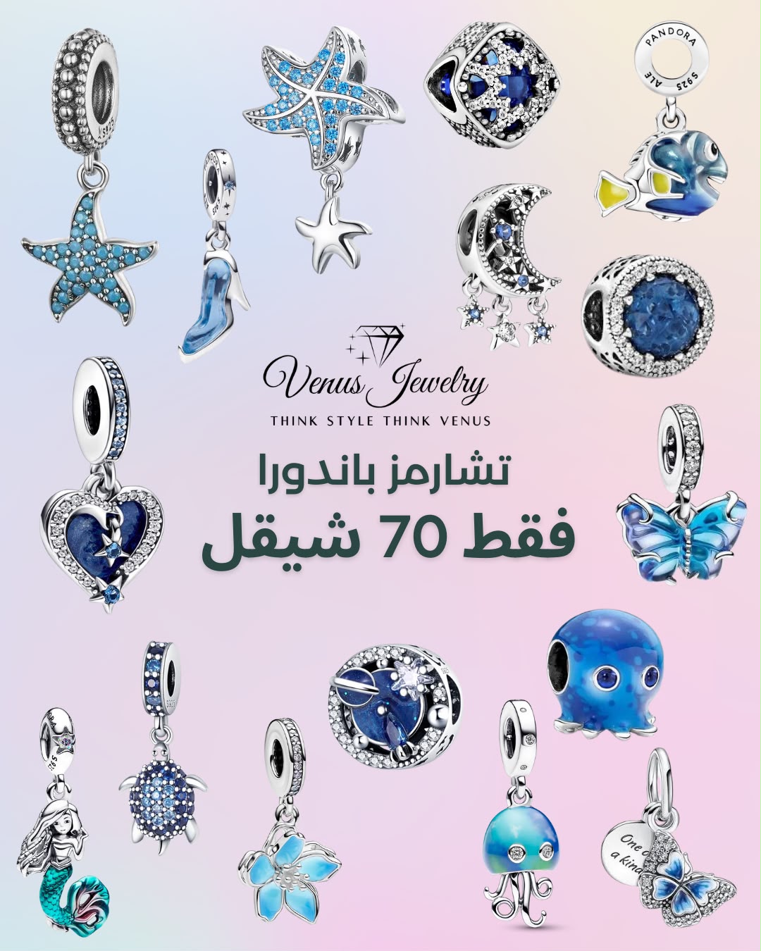 تشارمز فضة مميزة